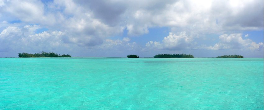 87- Motus au nord-est de Tahaa 